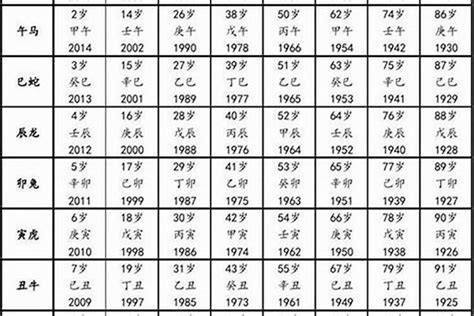 2000年出生属什么|2000出生属什么生肖查询，2000多大年龄，2000今年几岁